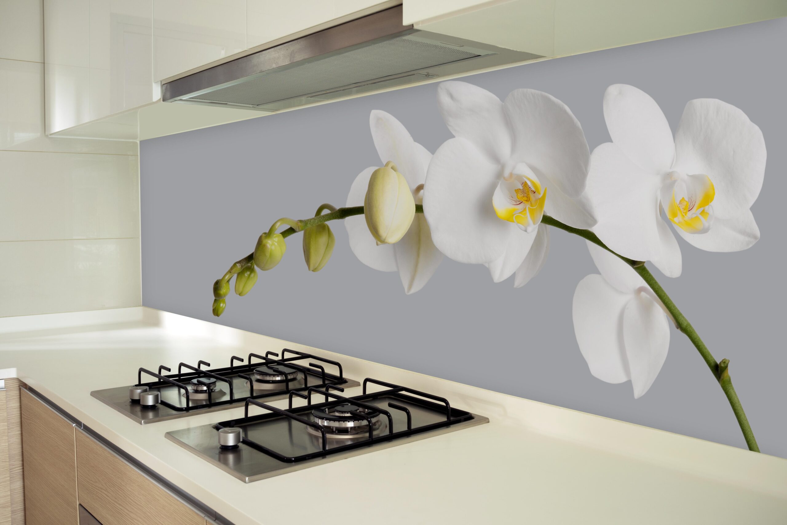 e23b5a682110ebe285410d6ff0d3e5d5247de2262d27f38ce0e8cbed60bbda81